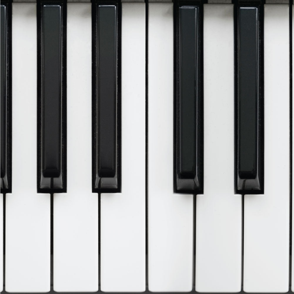 Keyboards — Alamo Music Center