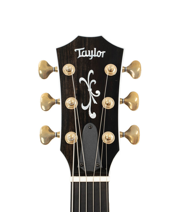 Taylor Proto T5z Custom C Cocobolo/Sapele Hollow-Body Electric-Acoustic Guitar