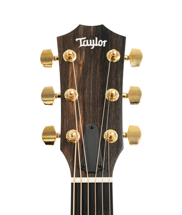 Pre-Owned Taylor 224ce K-DLX Acoustic-Electric Guitar | Used