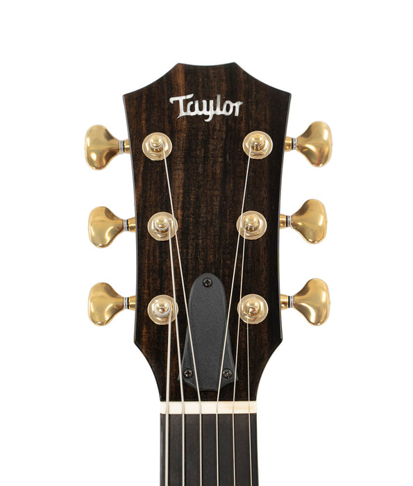 Taylor Prototype T5z Custom Bocote LTD Hollow-Body Electric-Acoustic Guitar