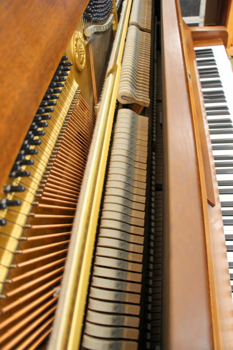 U1 American Walnut Upright Studio Piano