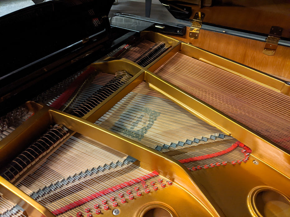 Young Chang TG-150 Baby Grand Piano | Polished Ebony